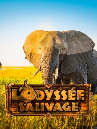 L’odyssée sauvage